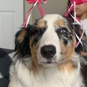 Meet your Posher, Alejandra